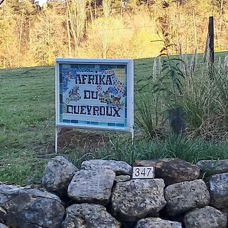 Afrika Du Queyroux , Petit En Campagne Proche Bergerac, 1 Seul Animal Accepté Sur Demande Pensión 3*