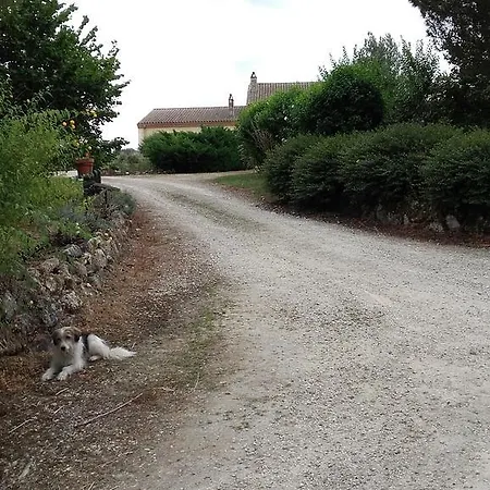 Afrika Du Queyroux 3* Ginestet